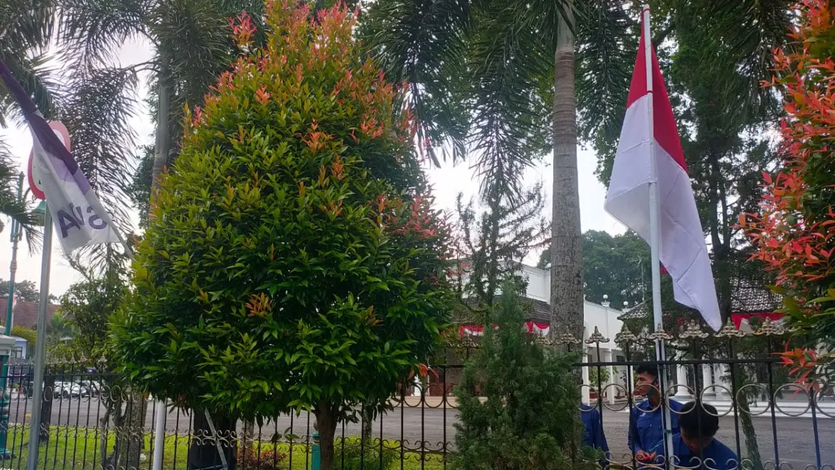 Gerakan Pembagian Bendera