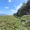 Pantai Ciparanti Pangandaran