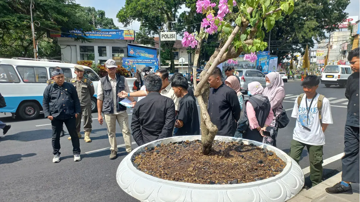 bunga bugenvil