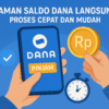 DANA Cicil