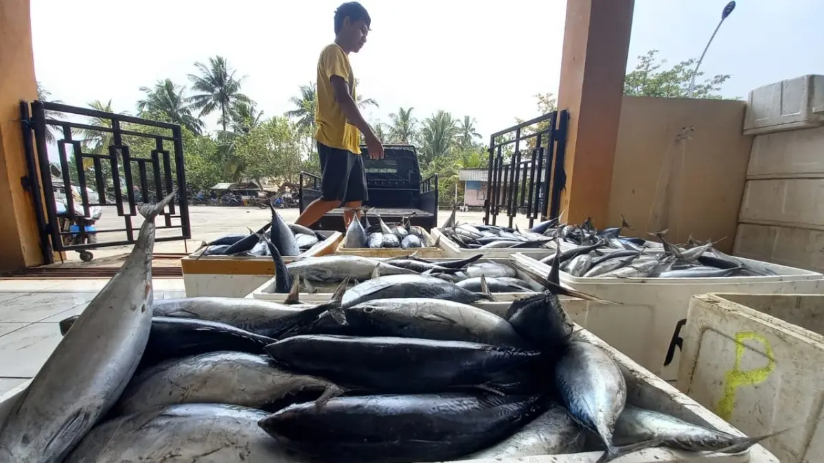 Harga Jual Ikan