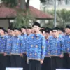 tenaga honorer garut