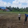 Swasembada Jagung di Kota Banjar