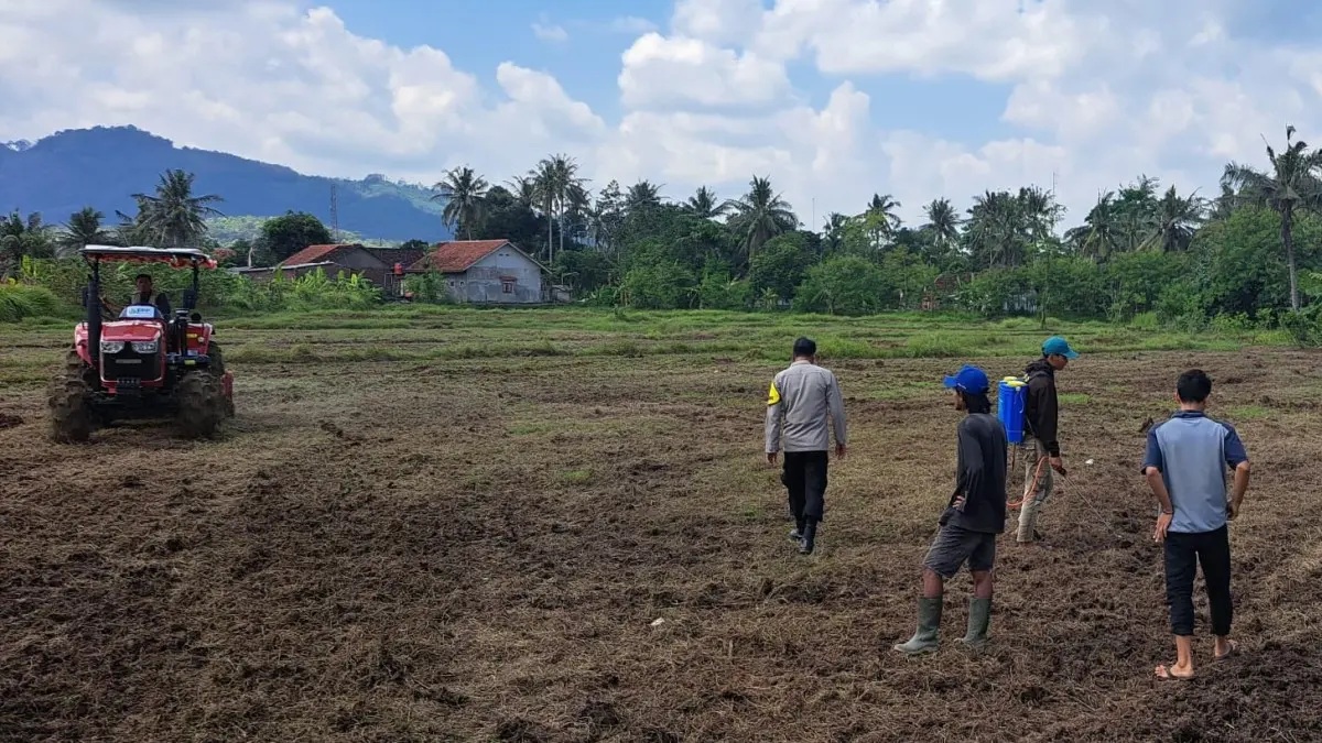 Swasembada Jagung di Kota Banjar