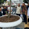 pot bunga bugenvil