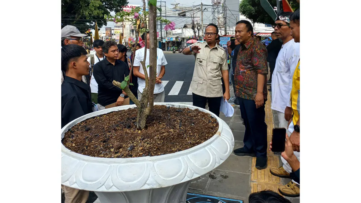 pot bunga bugenvil