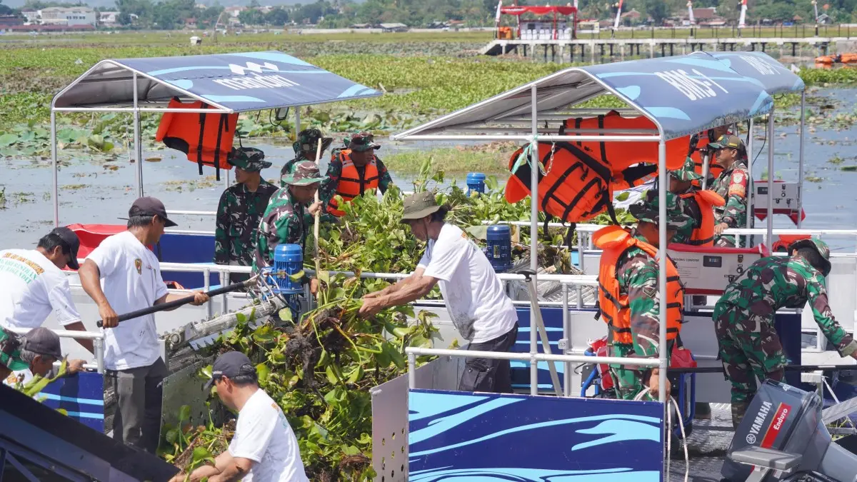 Eceng Gondok di Situ Bagendit Kabupaten Garut