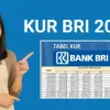 KUR BRI 2025