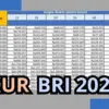 KUR BRI 2025