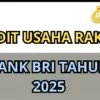 KUR BRI 2025