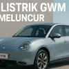GWM Ora 5