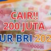 KUR BRI 2025