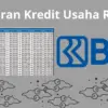 KUR BRI 2025