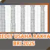 KUR BRI 2025