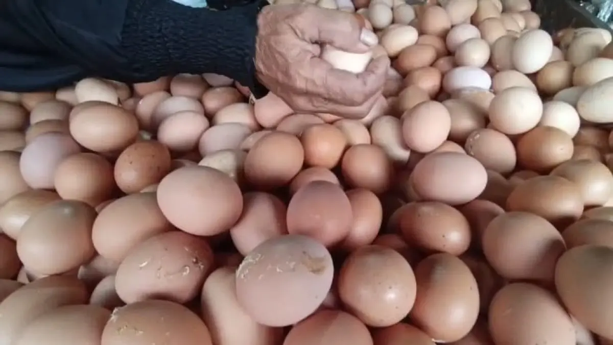 Harga Telur di pasar Singaparna