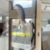 Dampak kerusakan aksi unjuk rasa anarkis, kantor dprd kota tasikmalaya