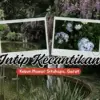 Kebun Mawar Situhapa