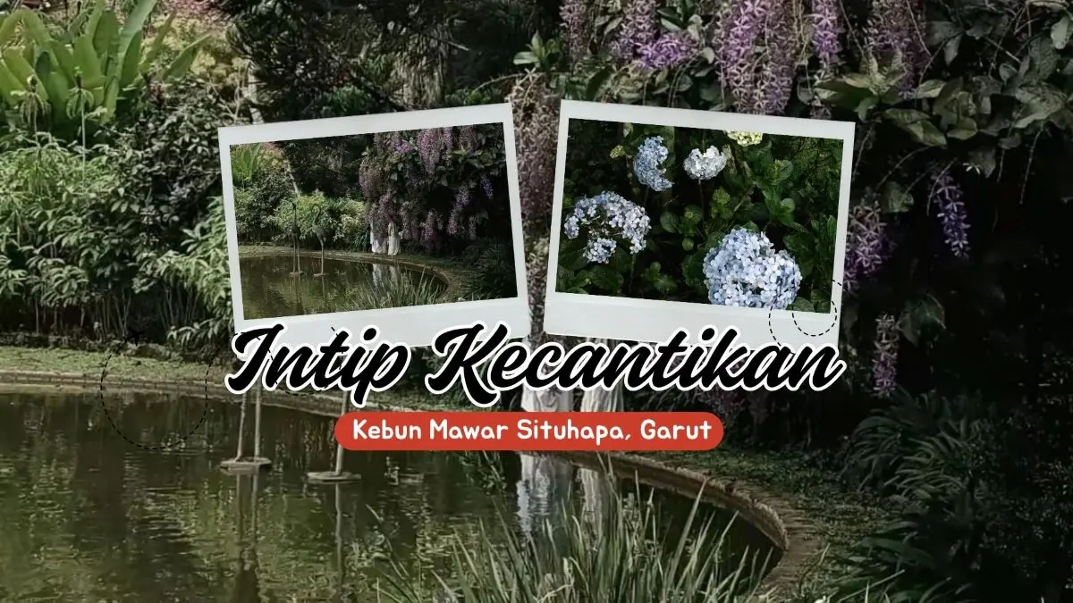 Kebun Mawar Situhapa