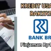 KUR BRI 2025