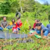 Penanaman Ratusan Pohon di Karangjaya