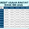 KUR BRI 2025