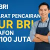 Pinjaman KUR BRI 2025