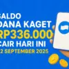 Saldo DANA Kaget