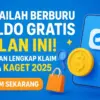 Saldo DANA gratis