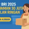 KUR BRI 2025 Pinjaman 30 Juta