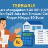 KUR BRI 2025