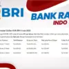Cicilan KUR BRI 6 Juta