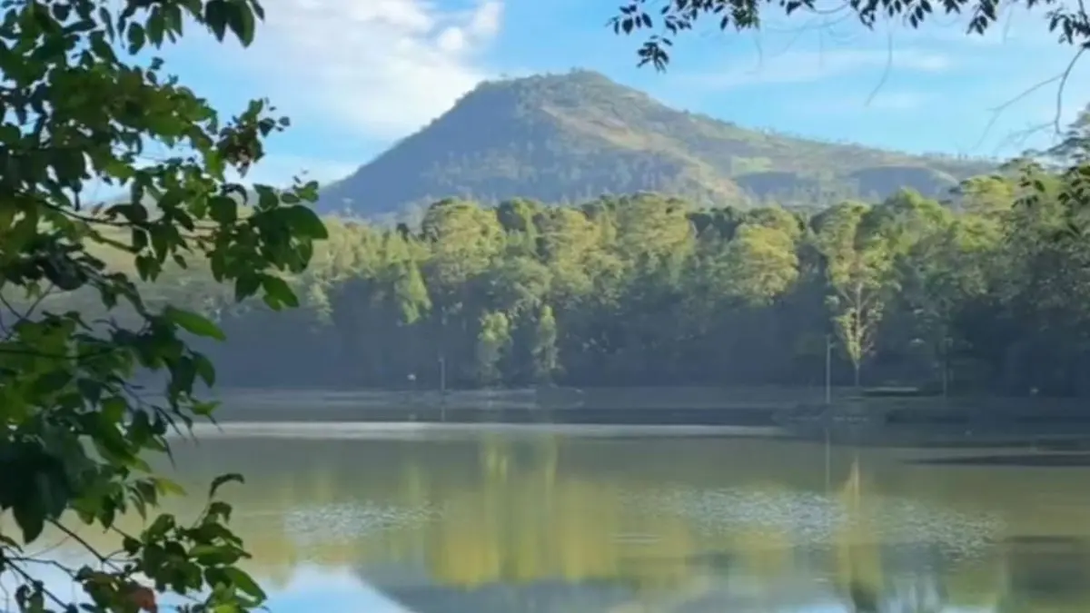 Situ Cisanti