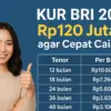 KUR BRI 2025