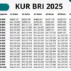 KUR BRI 2025