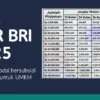 KUR BRI 2025