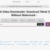 Download Video TikTok