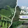 Wisata Majalengka