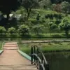 Wisata Puncak Bogor