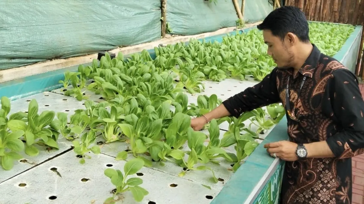 Sayuran MBG, makanan bergizi gratis
