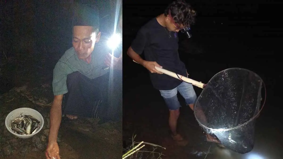 ikan di sungai cikembang mati akibat pencemaran dari ciangir