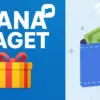 DANA Kaget