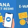 DANA Kaget