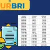 Pinjaman Rp50 Juta KUR BRI 2025