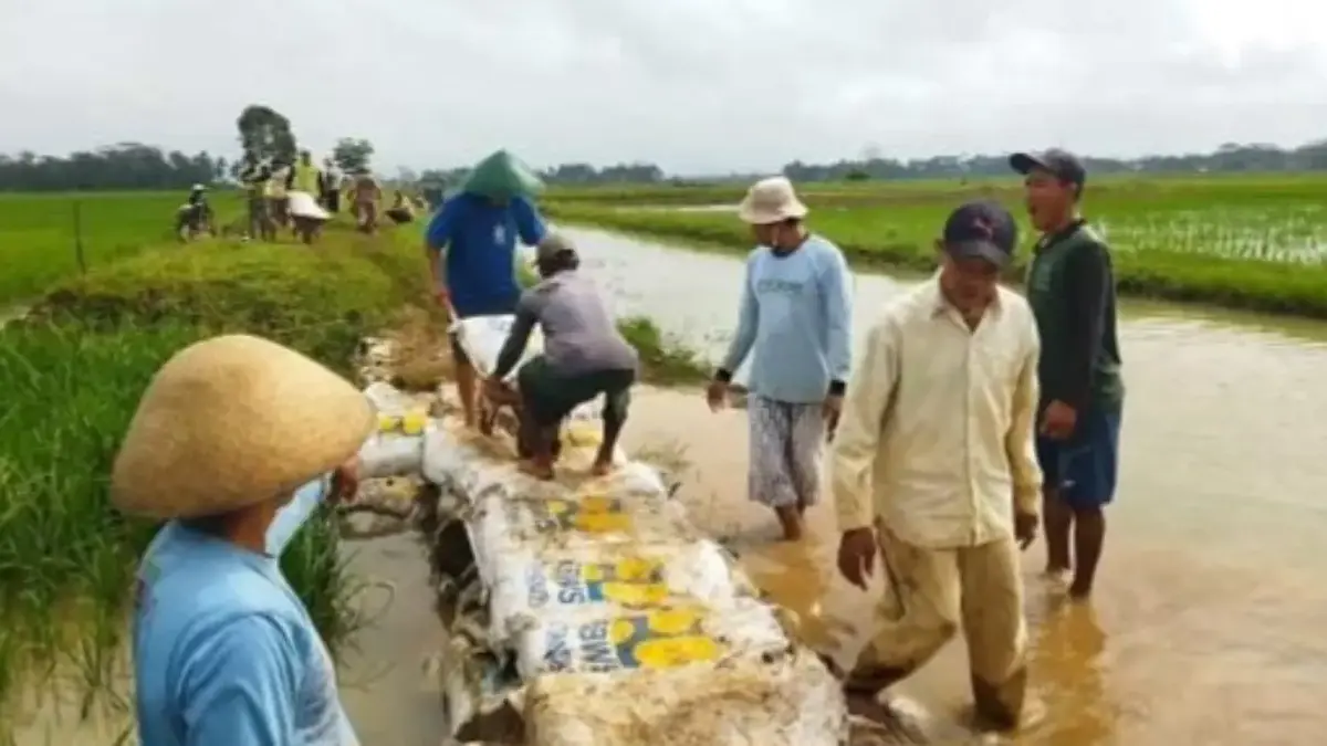 Tanggul Rusak di Padaherang