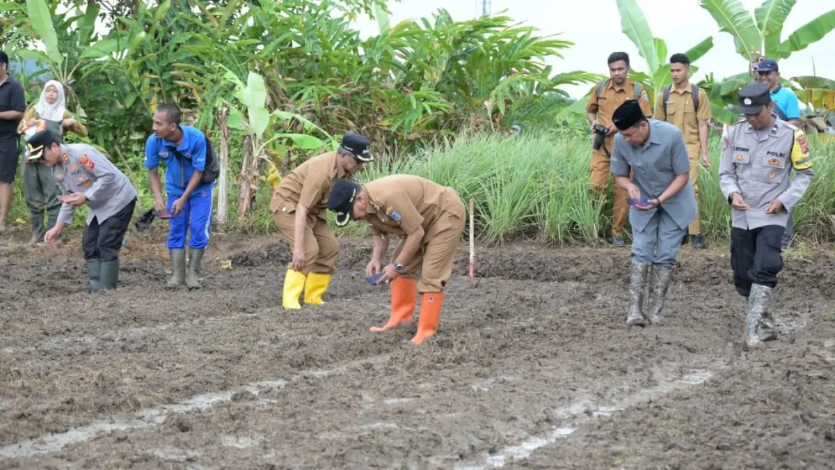 Swasembada Pangan di Banjar