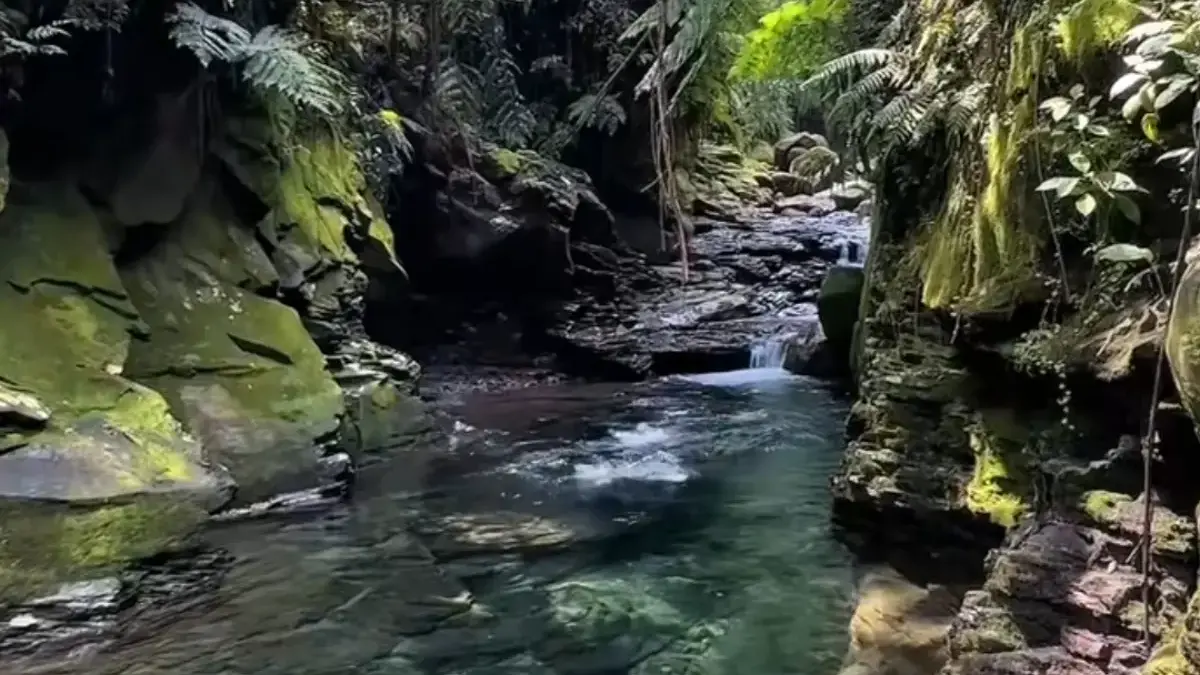 Wisata Balong Endah