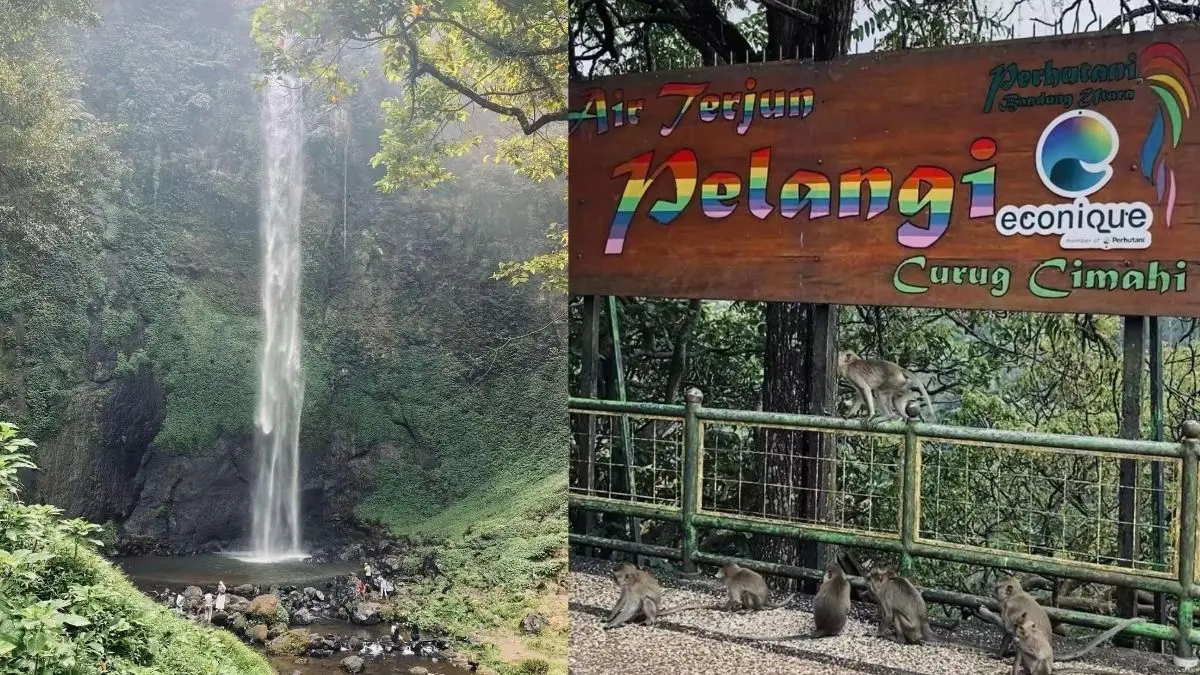 Wisata Cimahi, Menjelajah Keindahan Alam Curug Pelangi yang Instagramable Air Terjun Pelangi