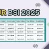 KUR BSI 2025