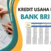 KUR BRI 2025