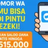 Saldo DANA gratis